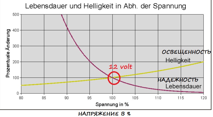 800px-Gluelebensdauerrp.jpg