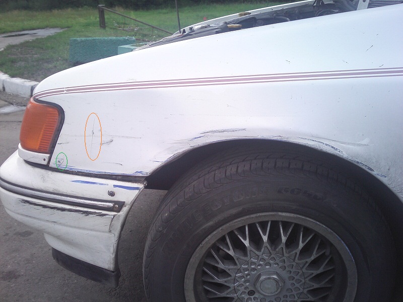 IMG0100ab.jpg