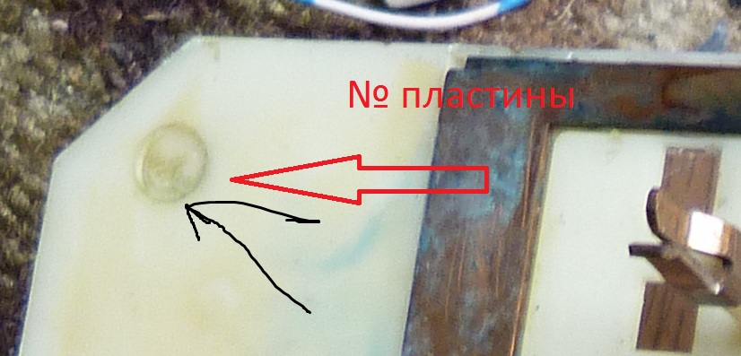 P1000890.jpg